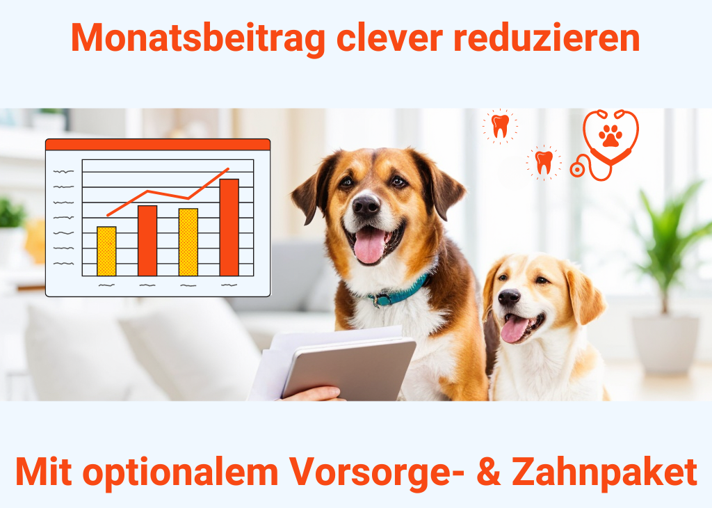 pet protect hundeversicherung, petprotect für hunde, pet protect hunde op versicherung, hundekrankenversicherung die sofort greift, hundekrankenversicherung ohne op kosten, hundeversicherung ohne wartezeit